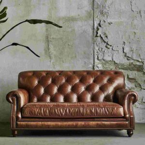 Leather Upholstery sofa