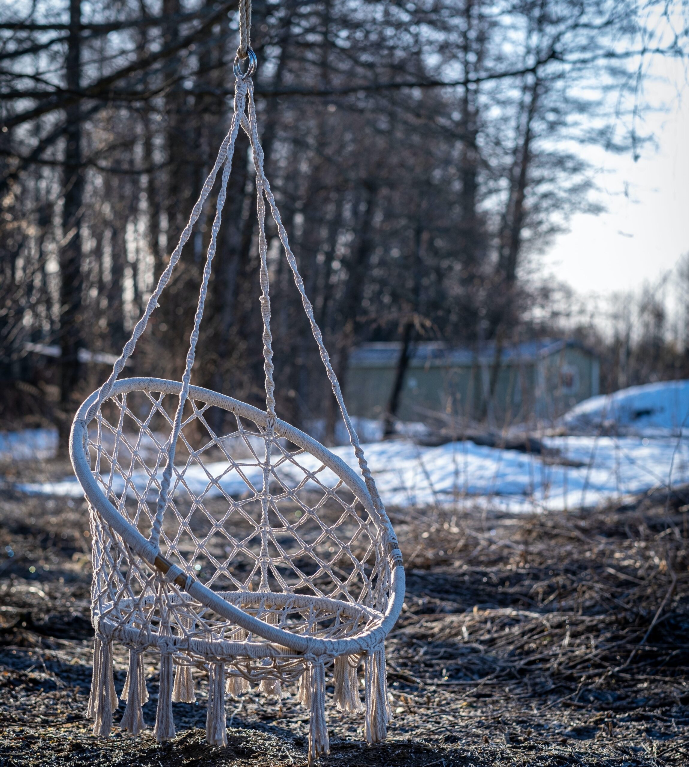 Hammock Chair