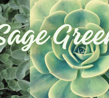 Sage green