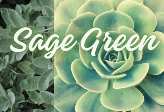 Sage green